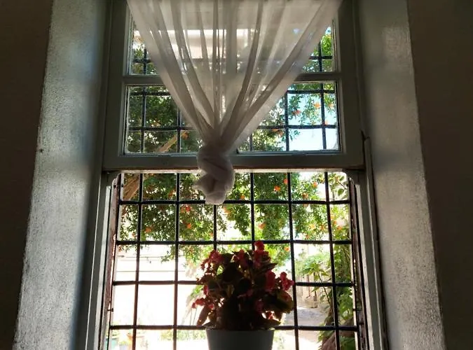 Eolos House Cunda Ayvalı